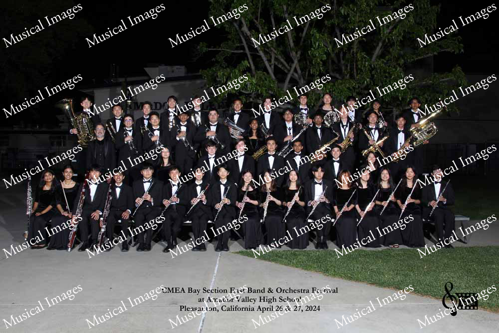 Musical Images